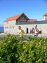gal/Triathlons de Quiberon 2007/_thb_P1190634.JPG